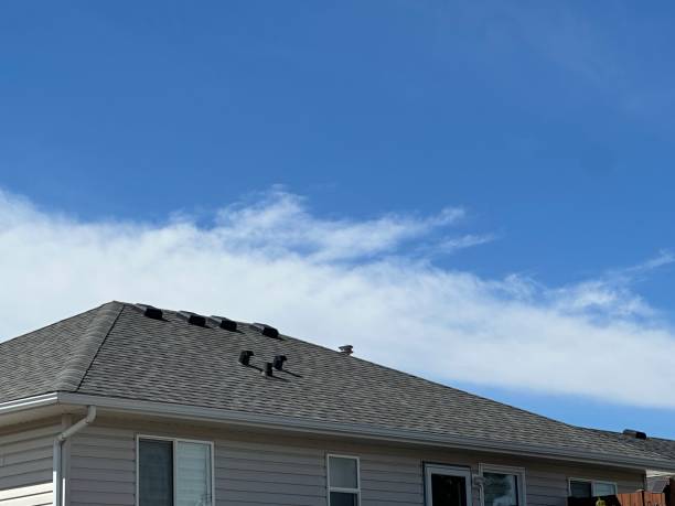 Roof Insulation in Sullivan Gardens, TN